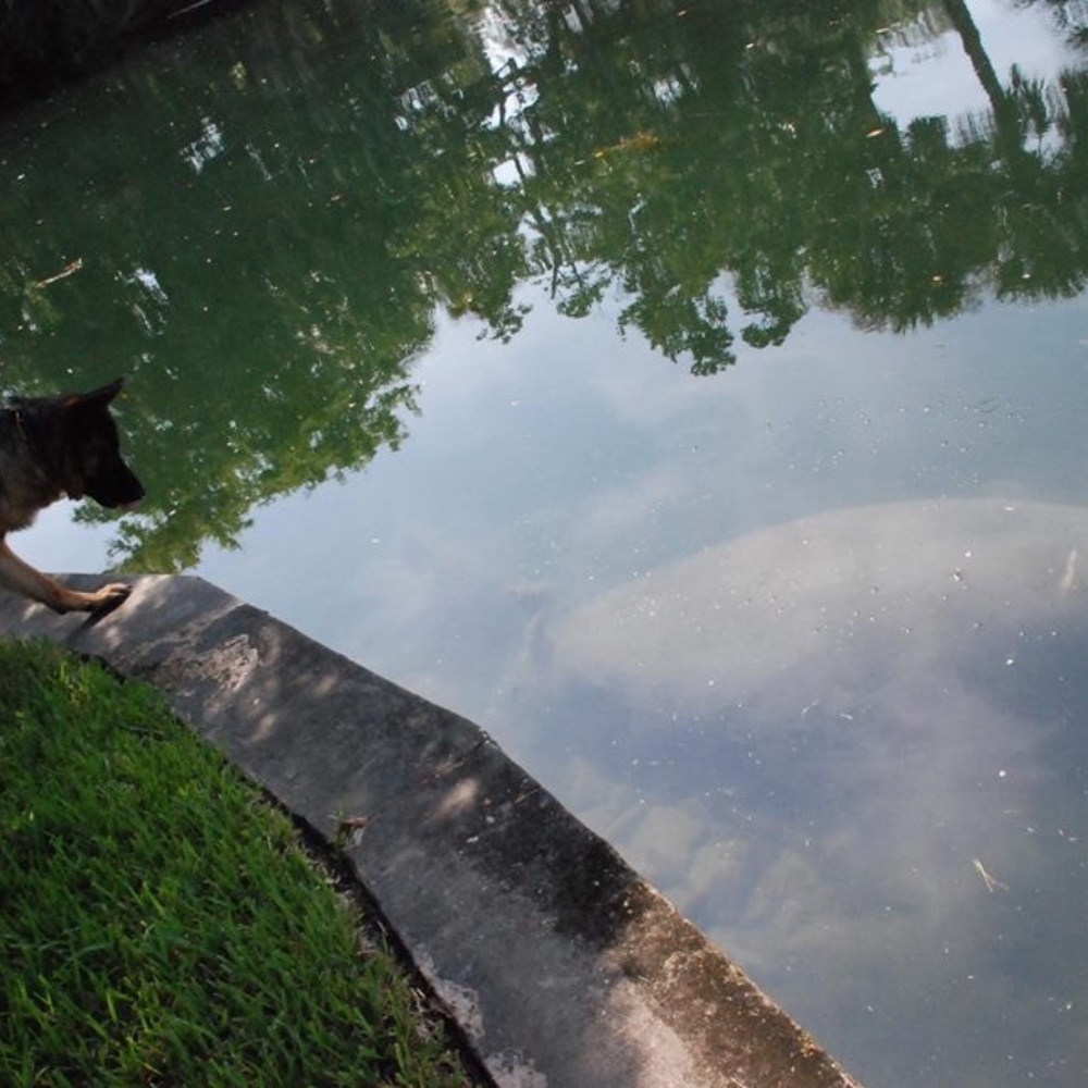 Meet your Posher, Mrs Shopper